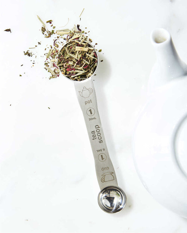 Stainless Steel Measuring Spoon