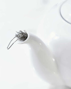 Buy Spout Strainer