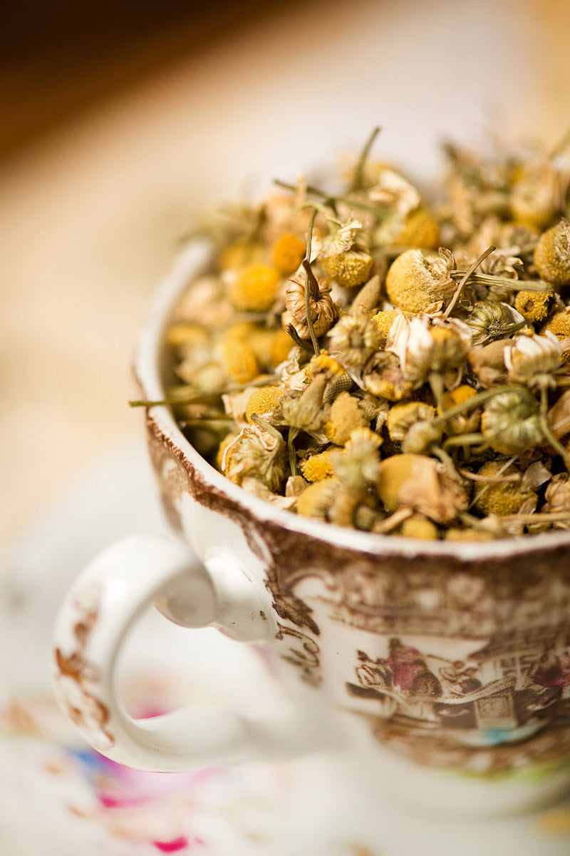 Chamomile 1